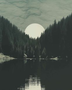 029